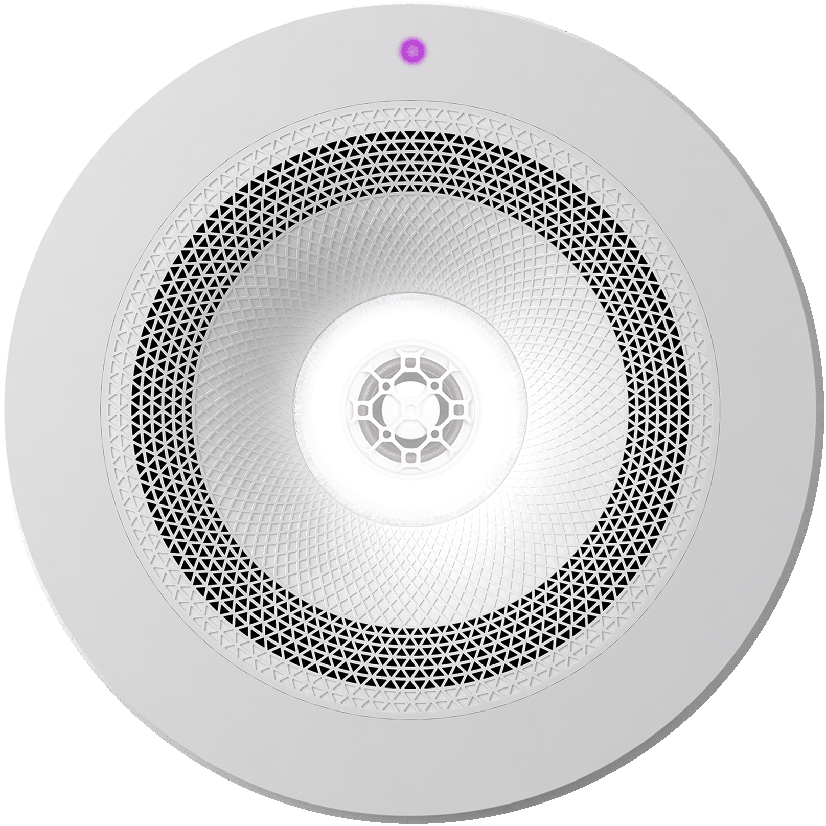 Purple_flashing.gif