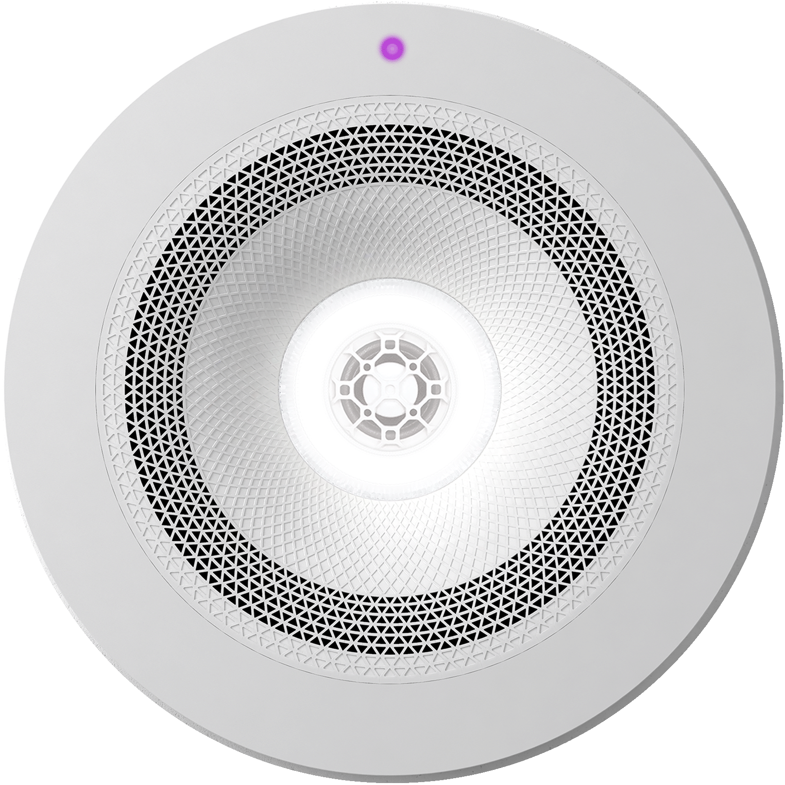 Purple.gif